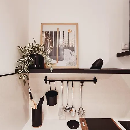 Minerva Zadar Murvica (Policnik)