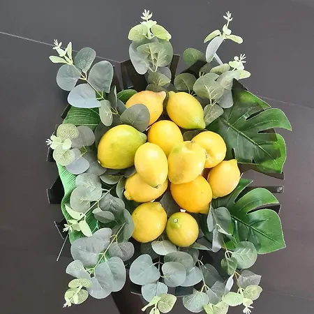 Minerva Zadar Murvica (Policnik)