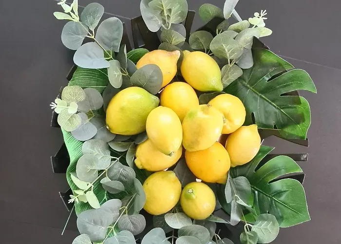 Minerva Zadar Murvica (Policnik)